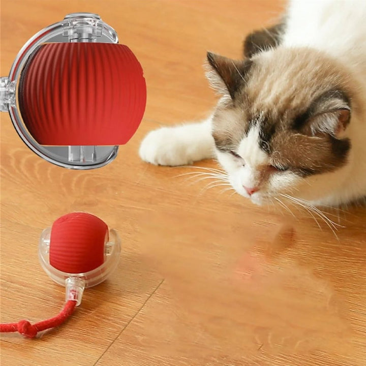 Automatisk katteball i rød farge, en stimulerende leke for enhver katt.