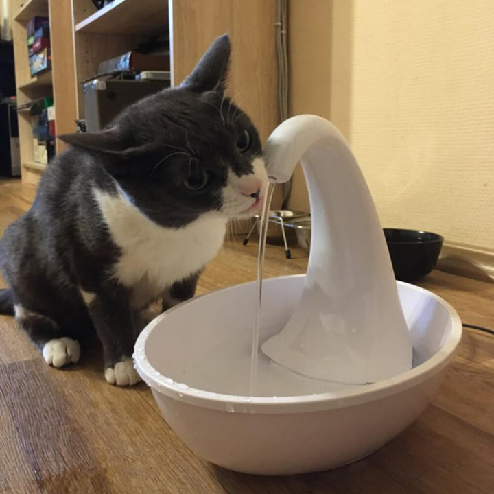 Enkel og effektiv drikkefontene for katter, ideell for hydrering av kjæledyret ditt.