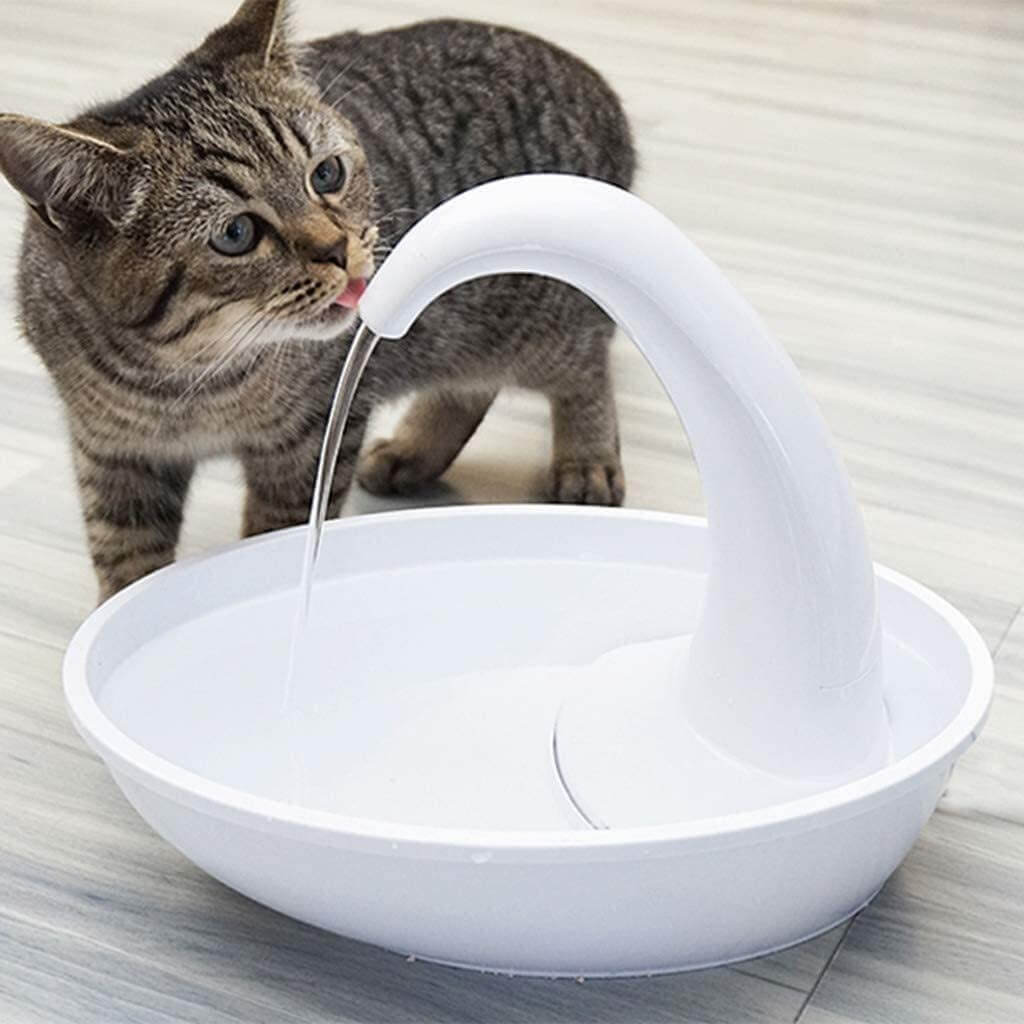 Moderne kattfontene som oppmuntrer katten til å drikke mer vann for bedre hydrering.