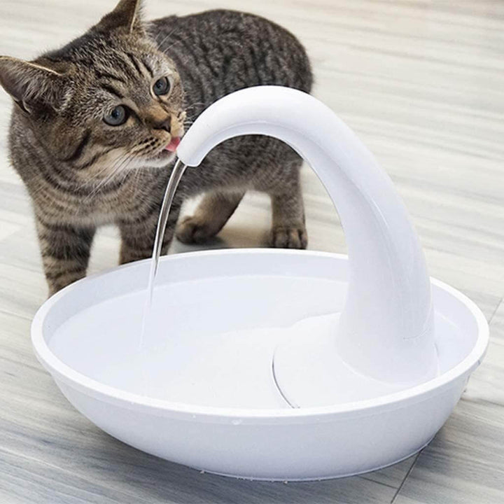 Moderne kattfontene som oppmuntrer katten til å drikke mer vann for bedre hydrering.