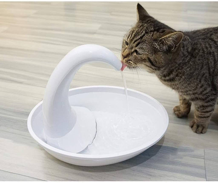Nærbilde av en katt som drikker fra en automatisk drikkefontene med rennende vann.