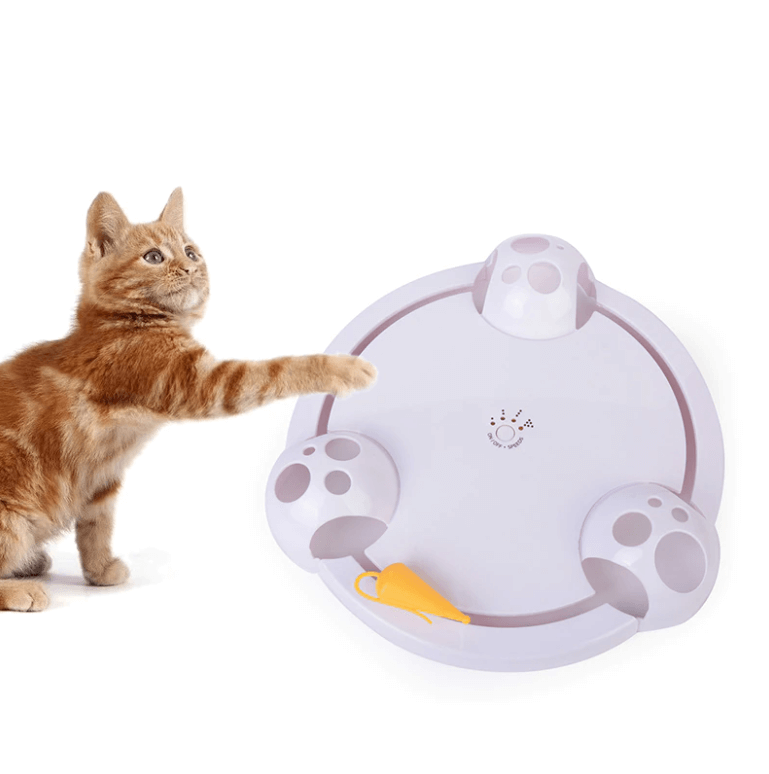 Katt leker med automatisk museleke; fanger og jager for aktivitet og moro.