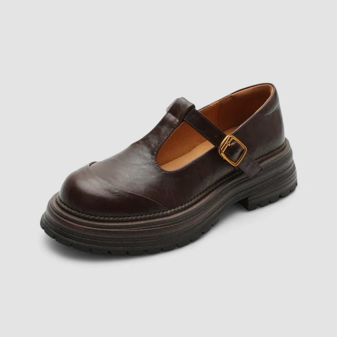 Elegante retro Mary Jane plattformsko for kvinner med chunky såle, T-bar stropp. Vintage stil damesko.