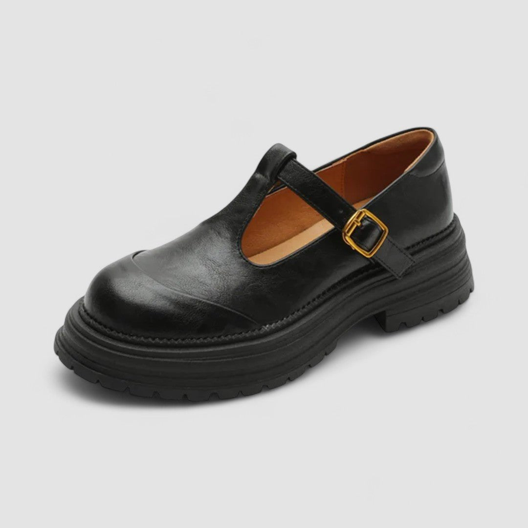 Chunky plattform Mary Jane sko for kvinner. Elegante retro damesko med T-bar stropp, ideell for trendy stil.