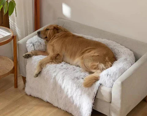 Komfortabelt sofatrekk for katt og hund. Beroligende kjæledyrseng, enkel å vaske.