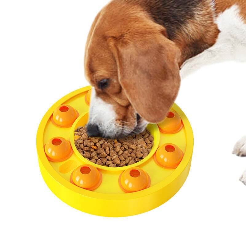 Valpeleke og aktivitetsleke: Lær hunden å spise saktere med morsom trening.