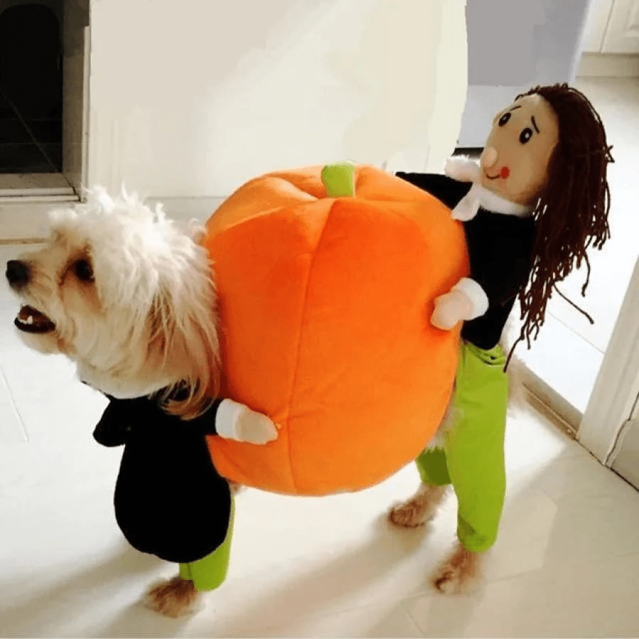 Morsomt gresskar hundekostyme i myk fløyel. Perfekt Halloween-antrekk for små, mellomstore og store hunder.