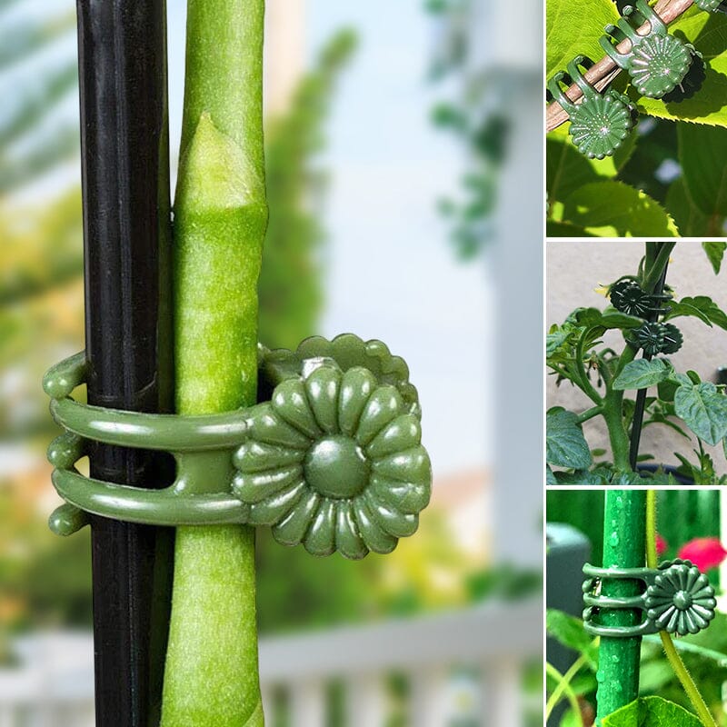 Fleksible planteklips og hageklips som tilpasser seg plantenes vekst. Ideell plantestøtte og hagetilbehør.