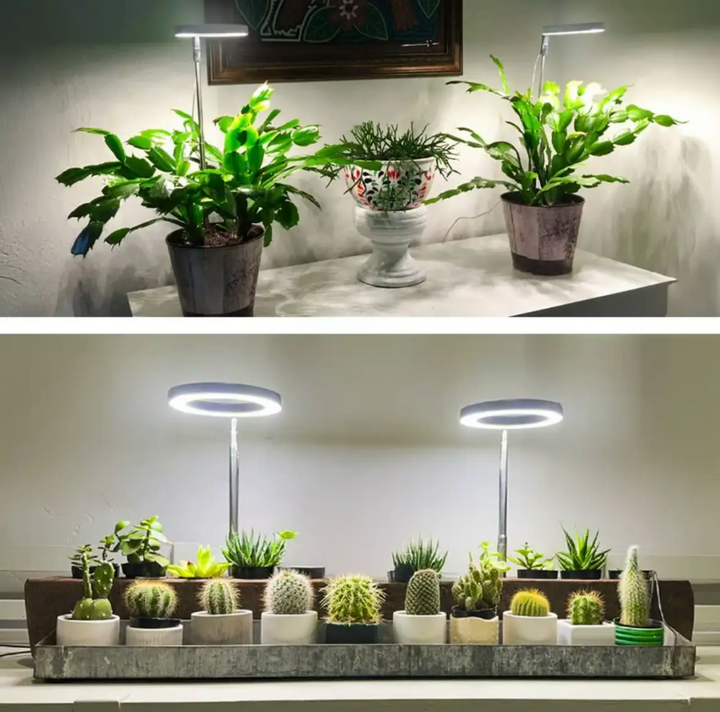 Justerbar LED vekstlampe for innendørs planter; fremmer sunn vekst med fullspektrum lys.