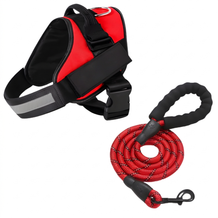 Treningssele for hund, gir optimal kontroll og stopper trekk. Ideell for hyggelige turer.