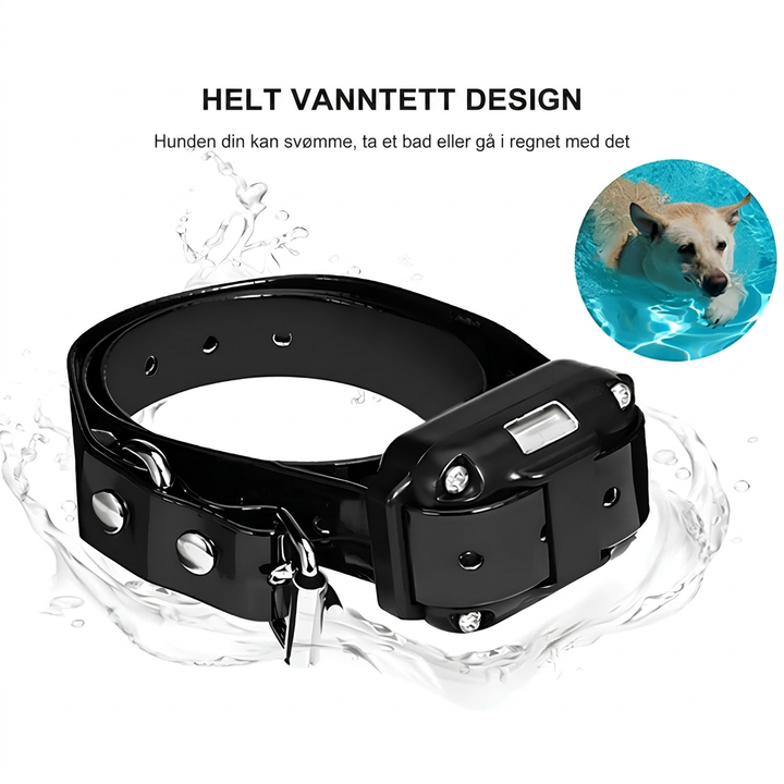 Komplett sett med fjernstyrt dressurhalsbånd, fjernkontroll og lader for enkel og effektiv hundetrening.
