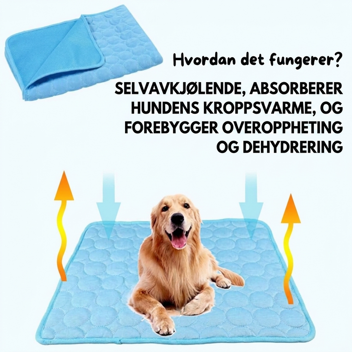 Kjæledyrkomfort: Avkjølende is-silke kjølematte for hund og katt. Perfekt mot varmen i sommer.