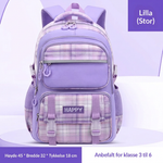 Lilla Stor