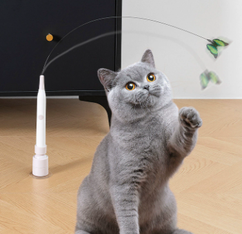 Fargerik, flaksende sommerfugl på en interaktiv katteleke. Perfekt kattungeleke som reduserer stress.
