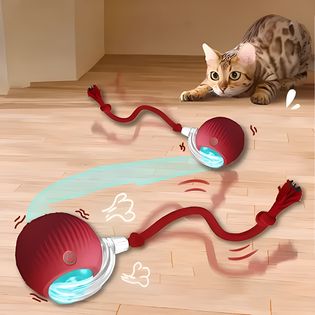 Interaktiv katteleke ball for aktive katter. Automatisk jaktlek stimulerer kattens naturlige instinkter.