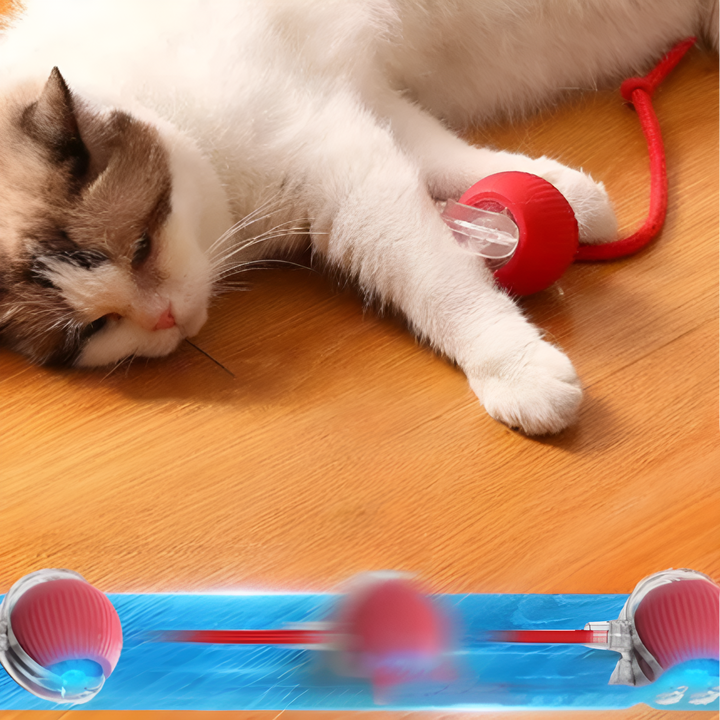 Automatisk katteleke ball med USB-lading. Perfekt for aktive katter som elsker jaktlek og stimulering.