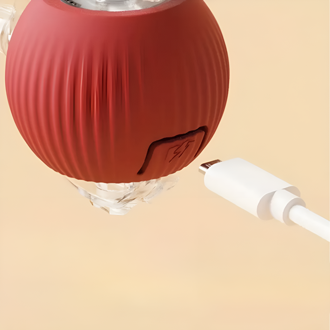 Moderne design interaktiv lekeball for katter. Gir timer med underholdende og selvstendig jaktlek.