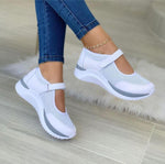 Vit