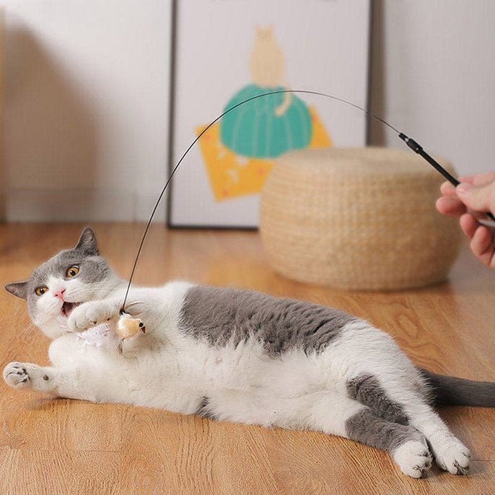 Interaktiv fugleleke for katt, jaktleke med sugekopp. Stimulerer aktivitet og jaktinstinktet hos innekatter.