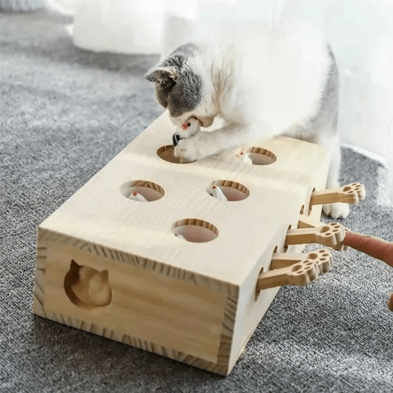 PopPals Surprise interaktivt kjæledyrleketøy for katter og hunder. Stimulerende lek og moro for dyr.