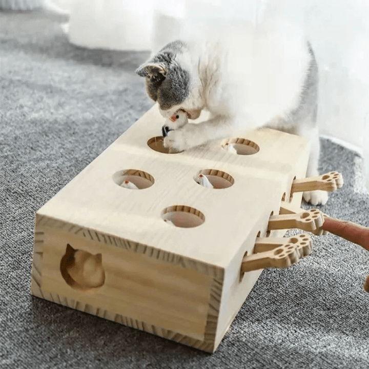 PopPals Surprise interaktivt kjæledyrleketøy for katter og hunder. Stimulerende lek og moro for dyr.