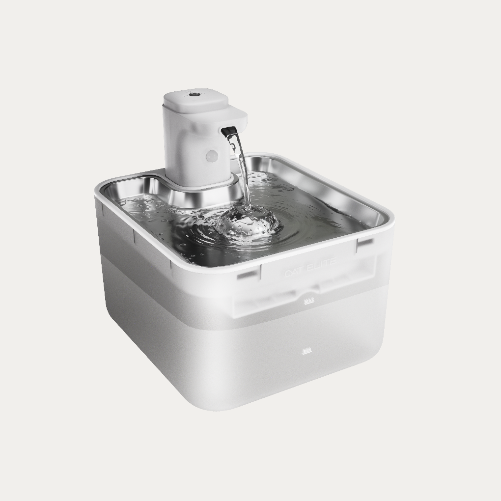 Kattefontene med effektivt filter for rent vann. Holder katten hydrert med friskt drikkevann.