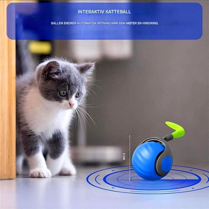 Katteutstyr: Oppladbar selvbevegelig rullekule med intelligent sensor som endrer retning ved hindringer.